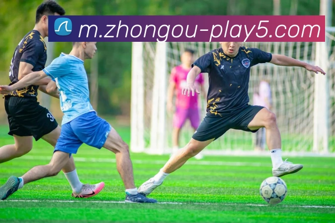 中欧电竞APP 封面图